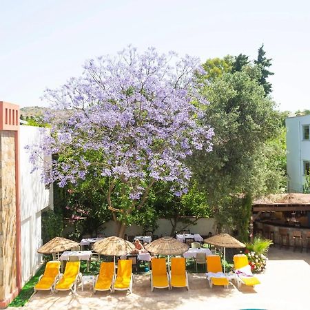 Kriss Hotel Bodrum Kültér fotó